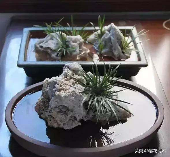 It's a small-scale planting method