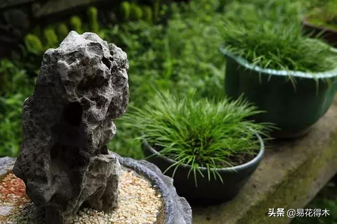 It's a small-scale planting method