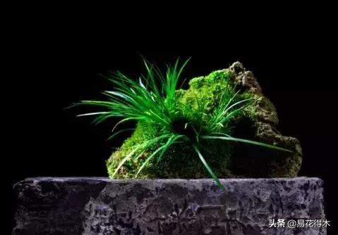 It's a small-scale planting method