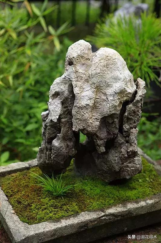 It's a small-scale planting method