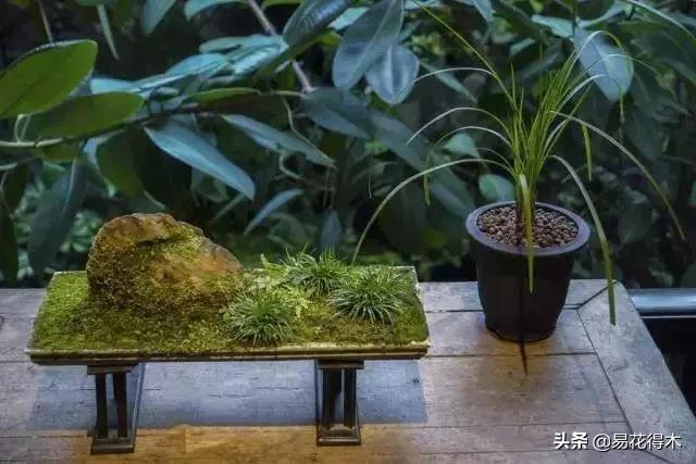 It's a small-scale planting method