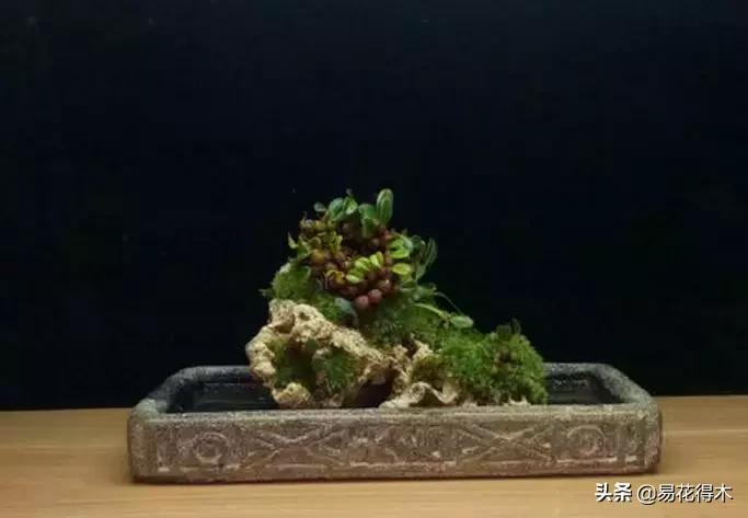 It's a small-scale planting method