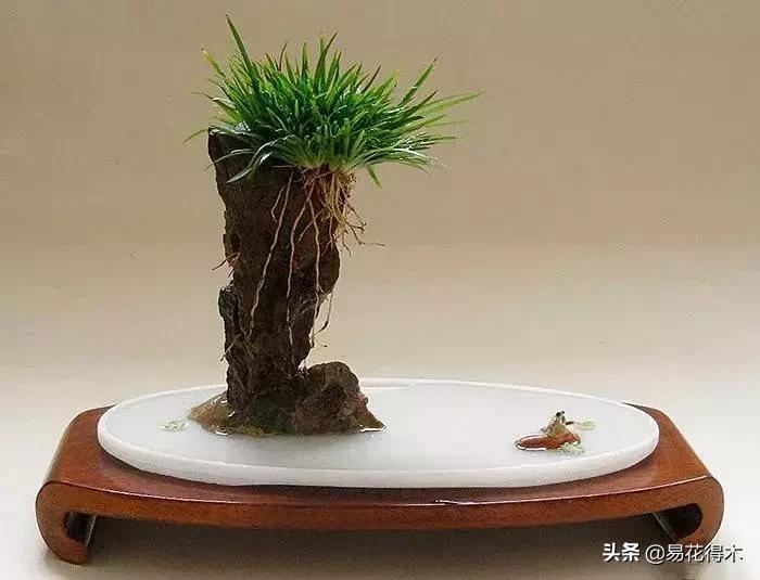 It's a small-scale planting method