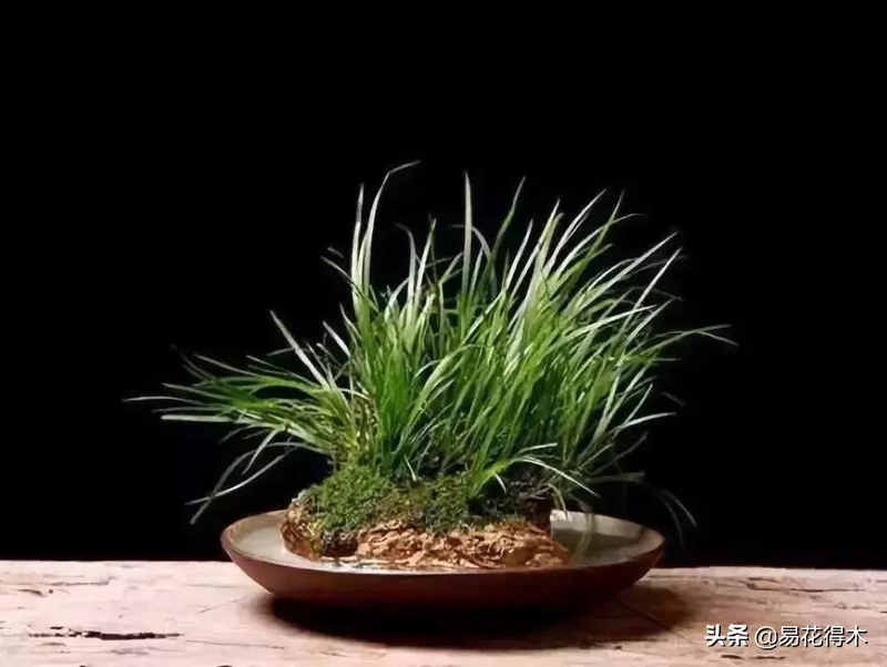 It's a small-scale planting method