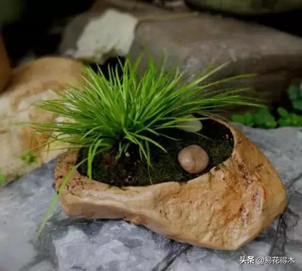 It's a small-scale planting method