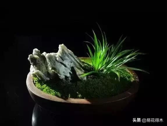 It's a small-scale planting method