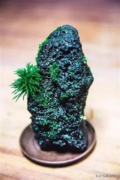 It's a small-scale planting method