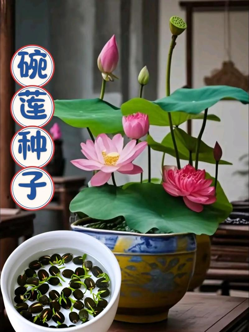 The method of growing the bowl