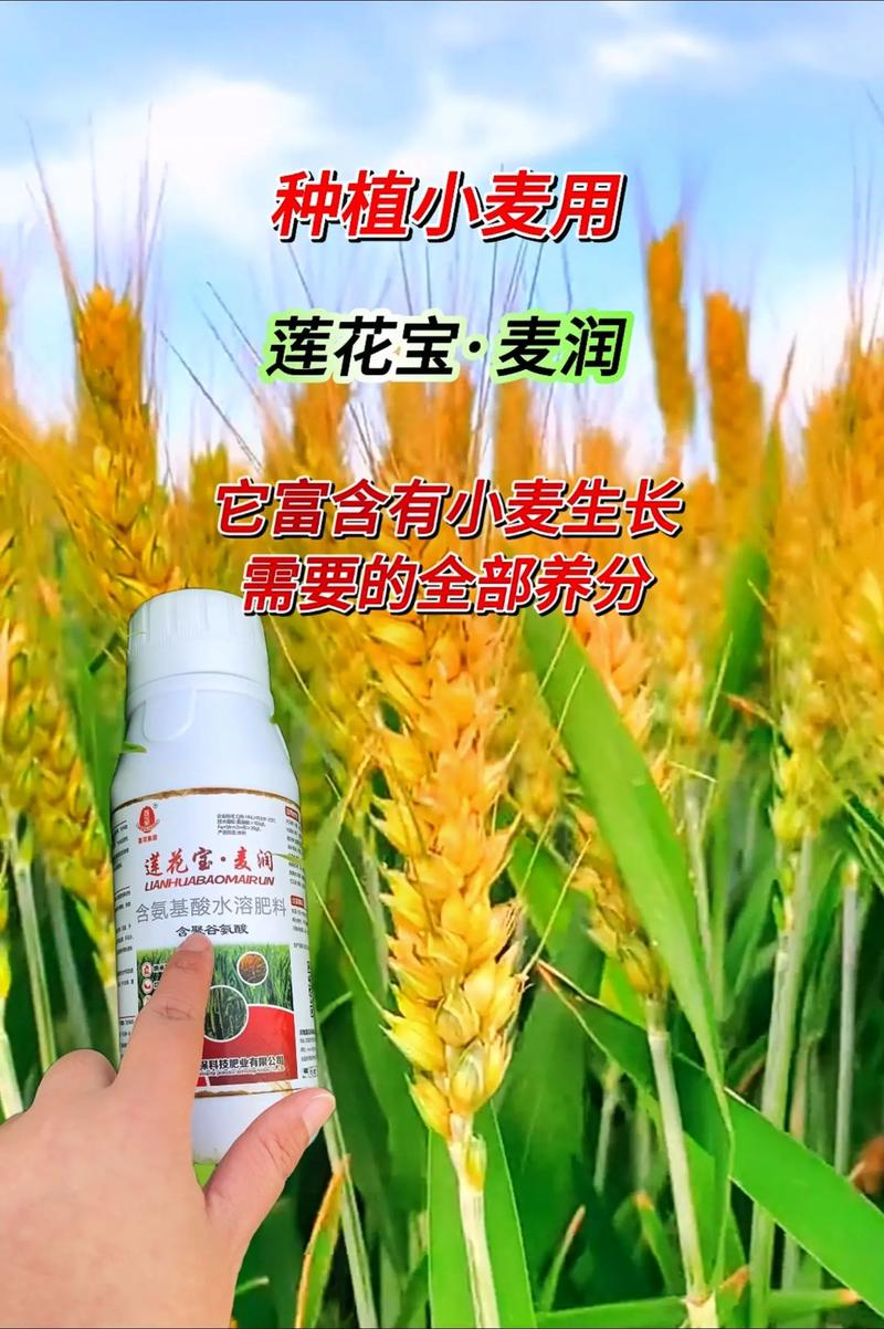 Technology for ultra-high-yield maize cultivation