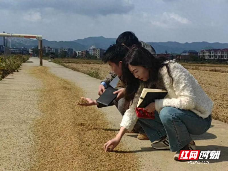 郴州食用菌种植技术