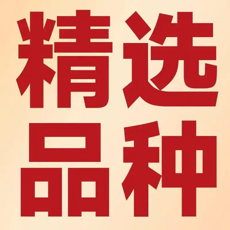 盆栽,草莓,种植,方法