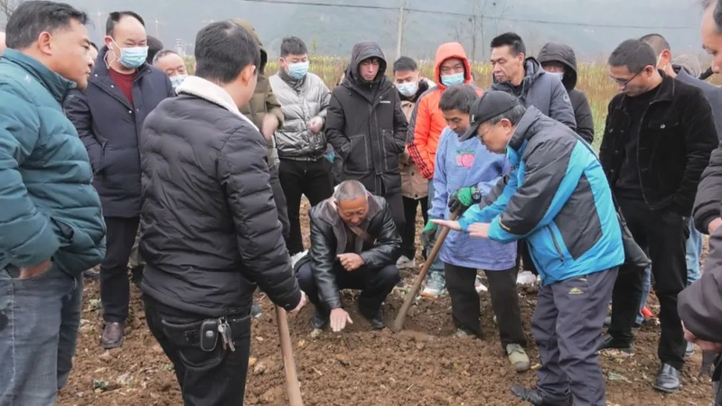 几种中药材种植技术