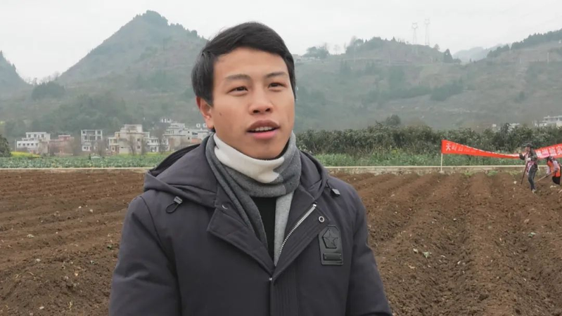 几种中药材种植技术