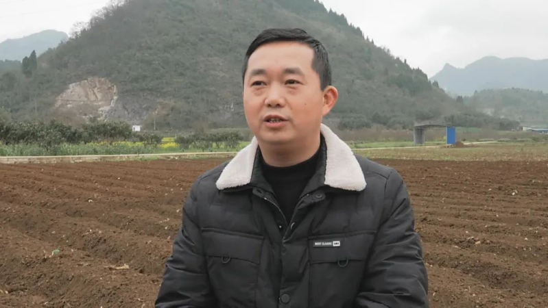 几种中药材种植技术