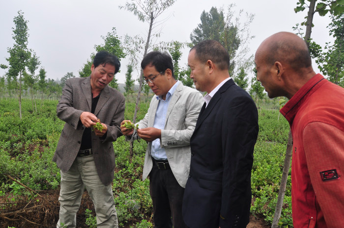 几种中药材种植技术