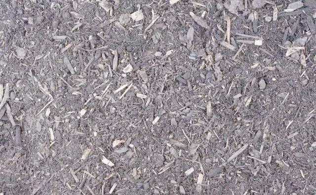 盆栽,草莓,种植,方法