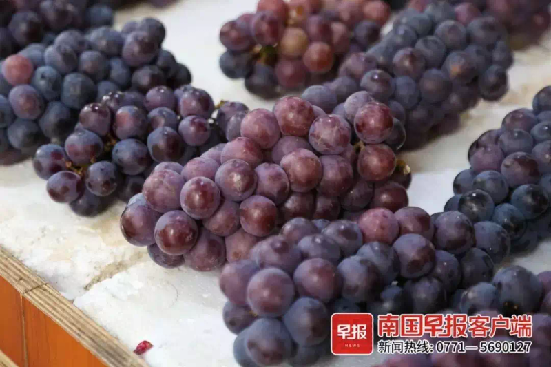 Great peak grape cultivation technology