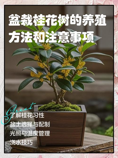 Technology for the planting of cinnamon flowers