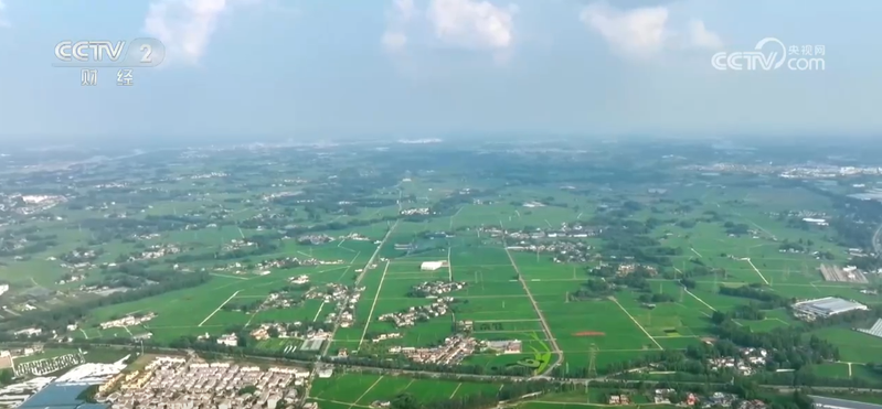 玫瑰花种植技术视频