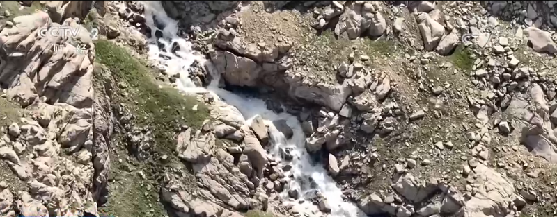 玫瑰花种植技术视频