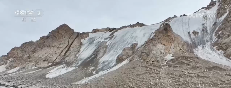 玫瑰花种植技术视频