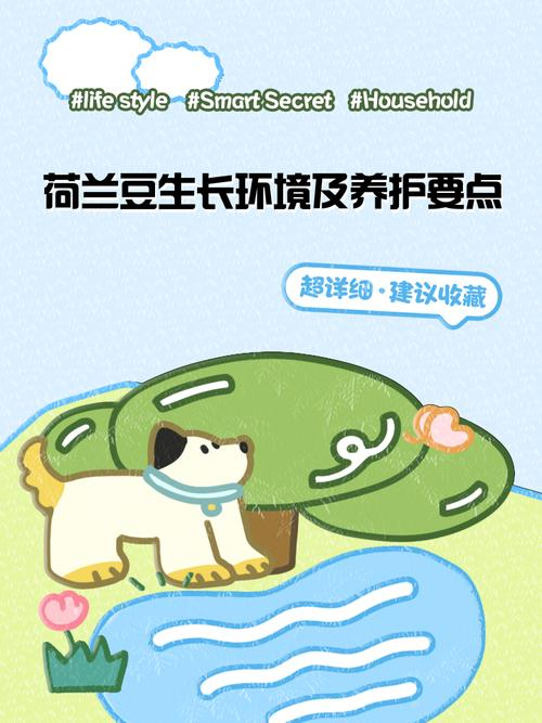 广东荷兰豆种植技术