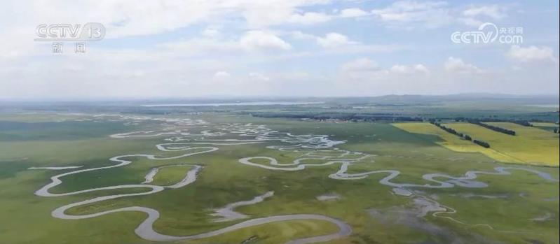 郴州食用菌种植技术