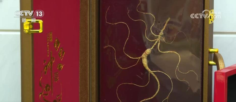 郴州食用菌种植技术