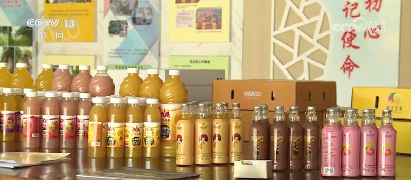 郴州食用菌种植技术