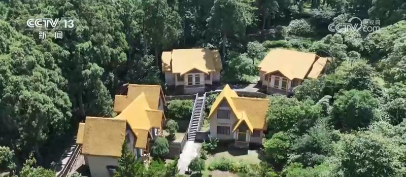 郴州食用菌种植技术