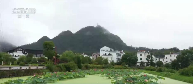 郴州食用菌种植技术