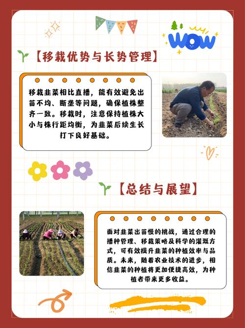 春大棚西红柿种植技术