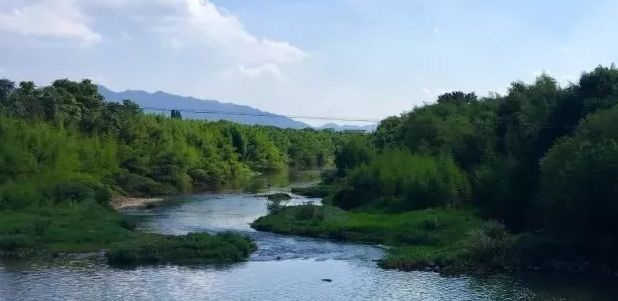 五水共治ppt知识普及