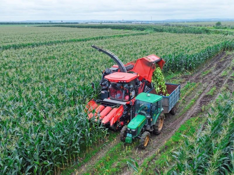 特超高产玉米种植技术