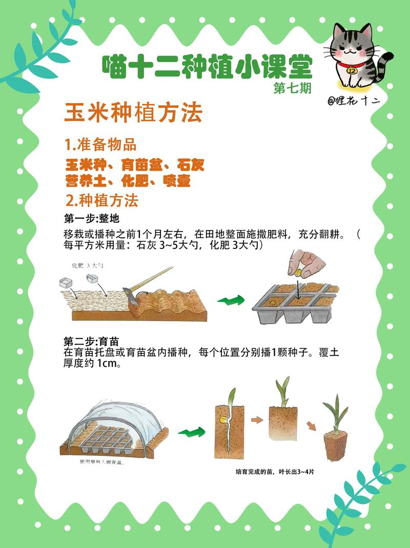 Technology for ultra-high-yield maize cultivation