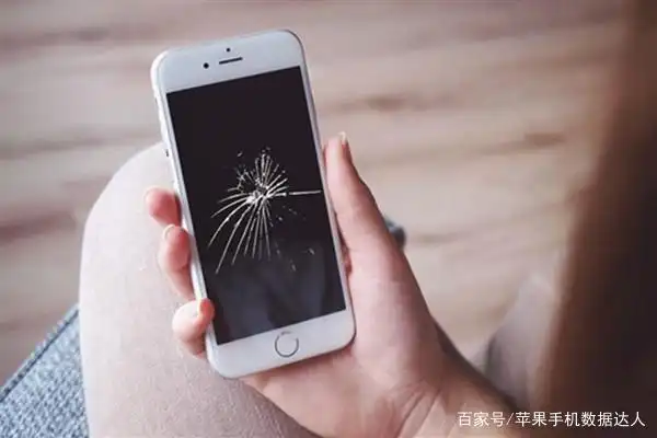 手机上门维修哪家好