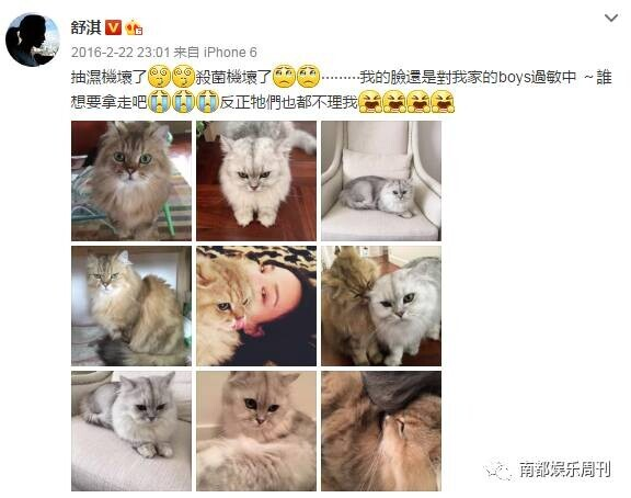 舒淇的容貌特点