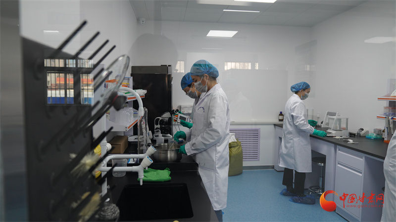 百合种植方法图解