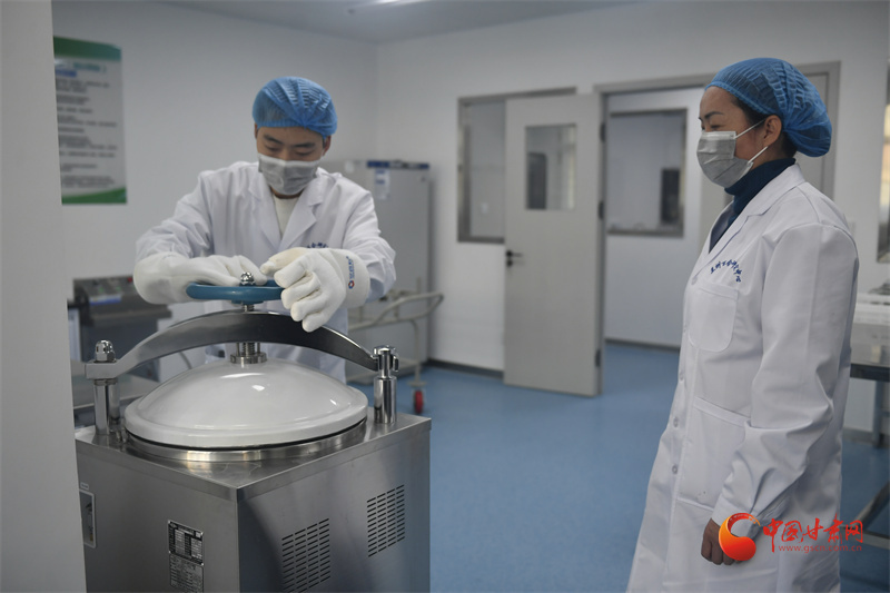 百合种植方法图解