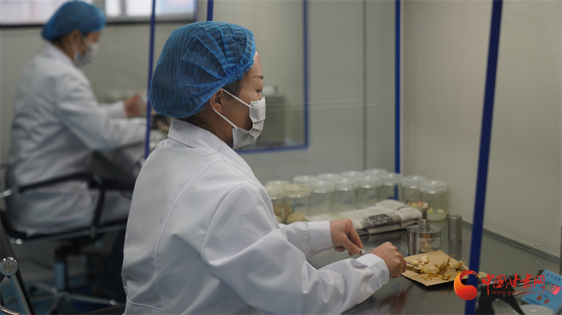 百合种植方法图解