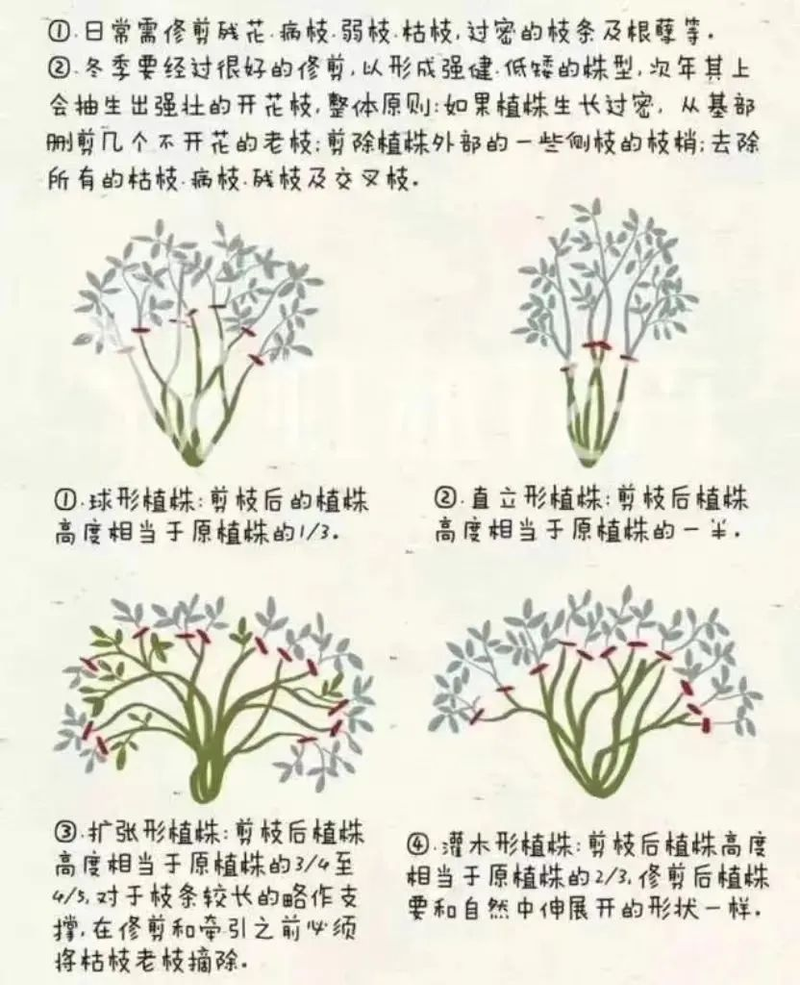 Picture of the method of breeding the season flowers