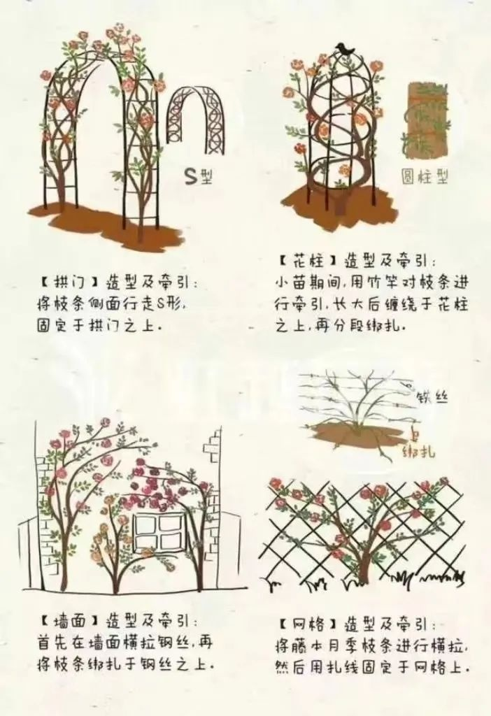 Picture of the method of breeding the season flowers