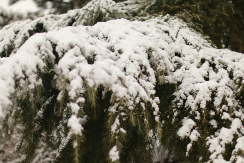 男性保健小知识