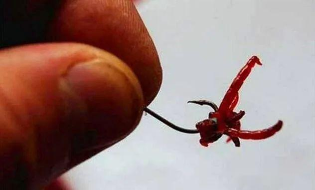 鱼钩绑线方法图解