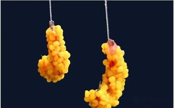 鱼钩绑线方法图解