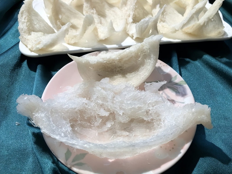 The function of a swallow nest