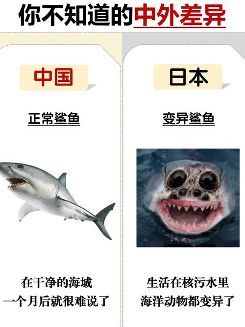 Little knowledge of the law