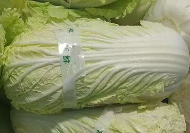 白菜的种植方法