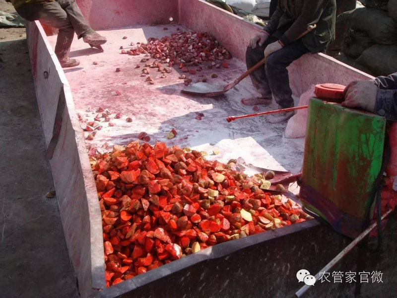 马铃薯高产种植技术