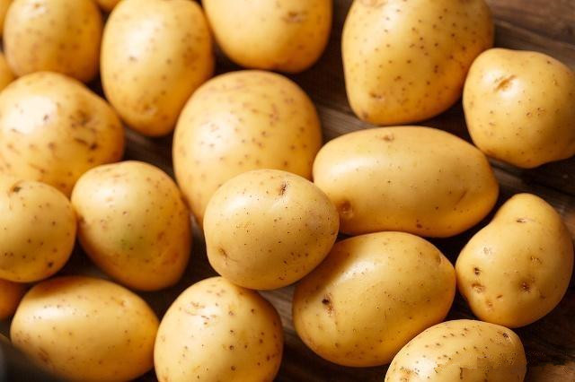 马铃薯高产种植技术